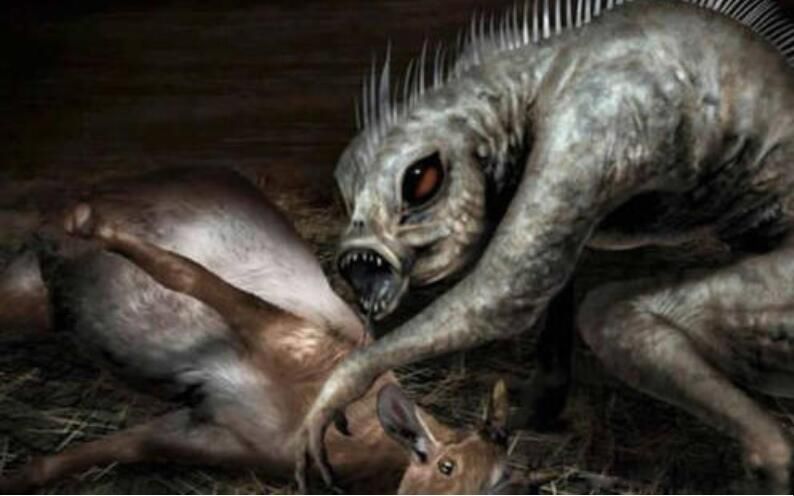 禁林_魔法学校之禁林幽灵_哈利波特主题公园禁林