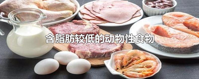 红鳟_红鳟鱼多少钱一斤_红鳟鱼跟三文鱼对比