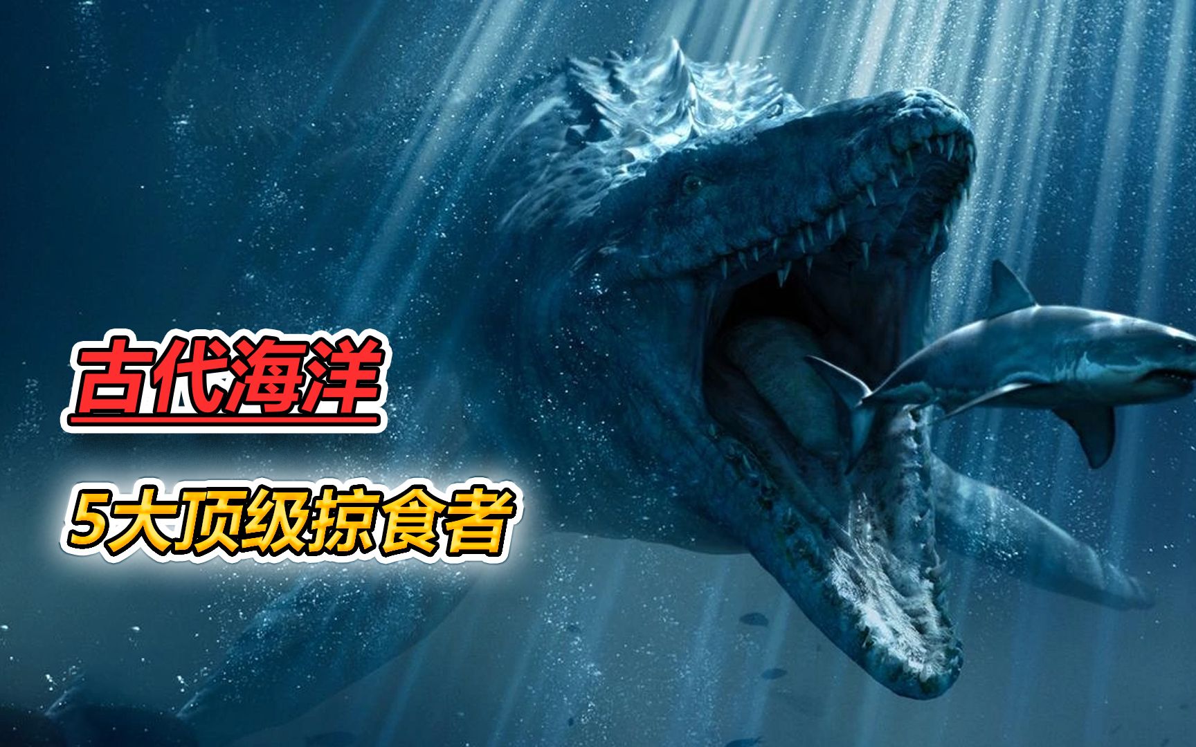 海底大逃杀_为什么海鲈鱼钓底