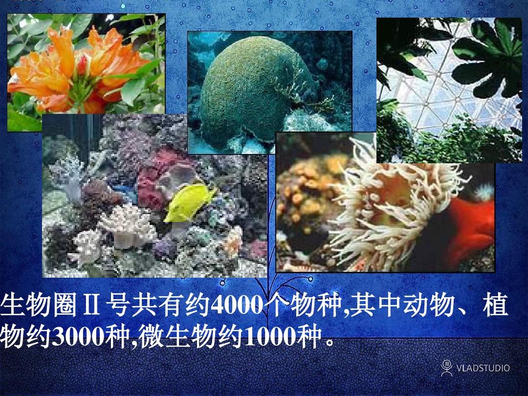人类一败涂地攻略_人类攻略一败涂地_败涂地人类一败涂地