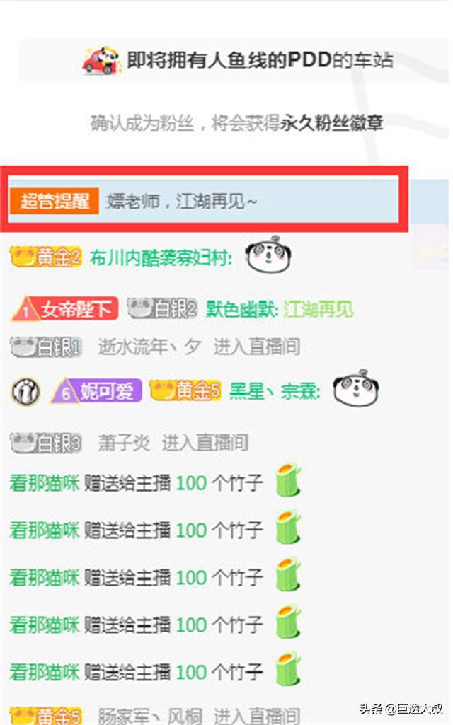 熊猫直播app_熊猫直播被谁买了_熊猫直播为什么要关闭