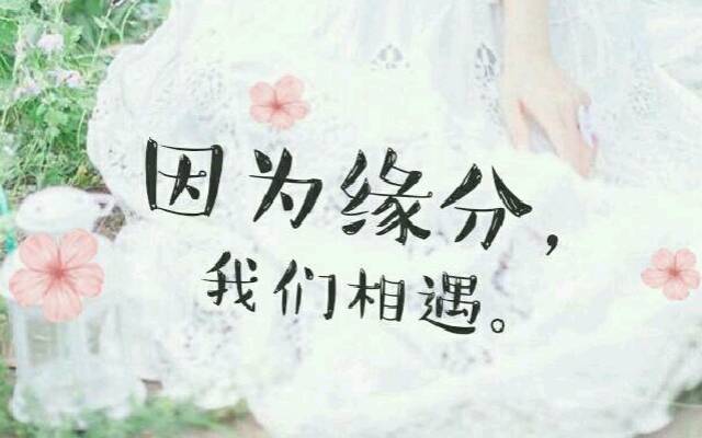 觅缘_觅缘是什么玉_觅缘交友