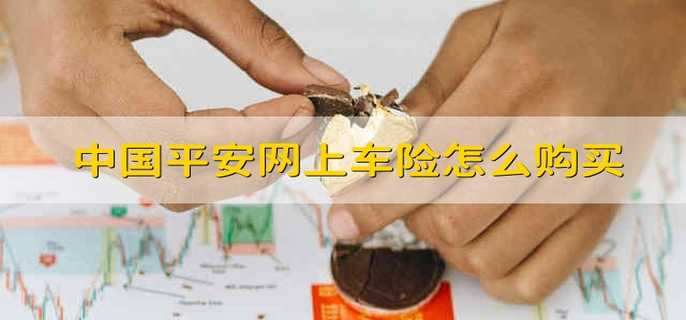平安好车主app下载安装_车主平安好车主app下载_平安好车主