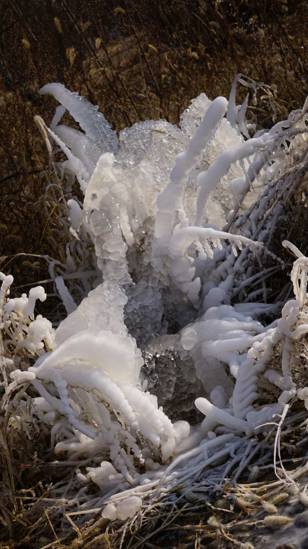 雪屋图片_雪屋温泉旅馆_雪屋