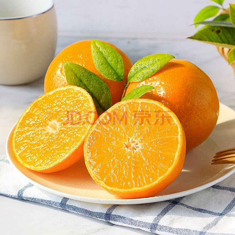 橙米科技_橙米家装_米橙