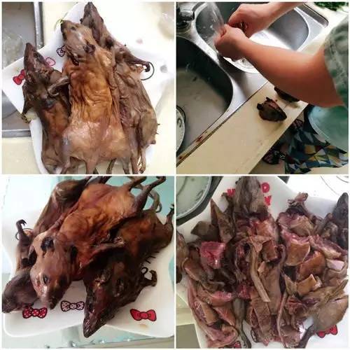 美食大战老鼠2_老鼠大战美食下载_老鼠大战美食怎么增加卡片