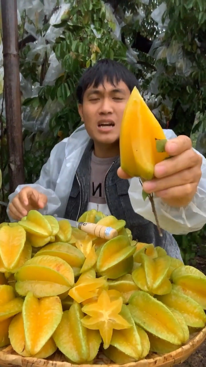 杨桃视频_搜索杨桃_杨桃百度百科视频