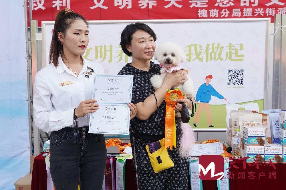 跳跳龙_跳跳龙动画梦工场_跳跳龙金刚属于什么品种