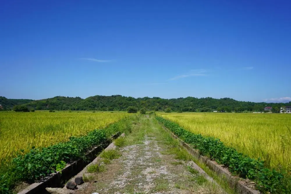 牧场物语双子村好玩吗_牧场物语双子村全人物地点_牧场物语双子村