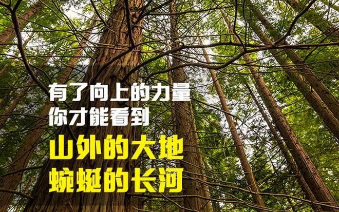 能量库app官网下载_能量平台_正能量网站免费进入无需下载