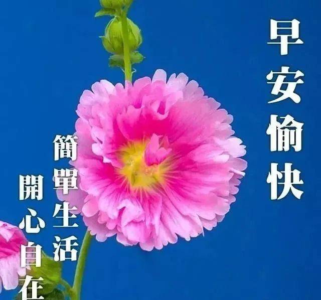 一个官人一个妻_一个官人一个妻_一个官人一个妻