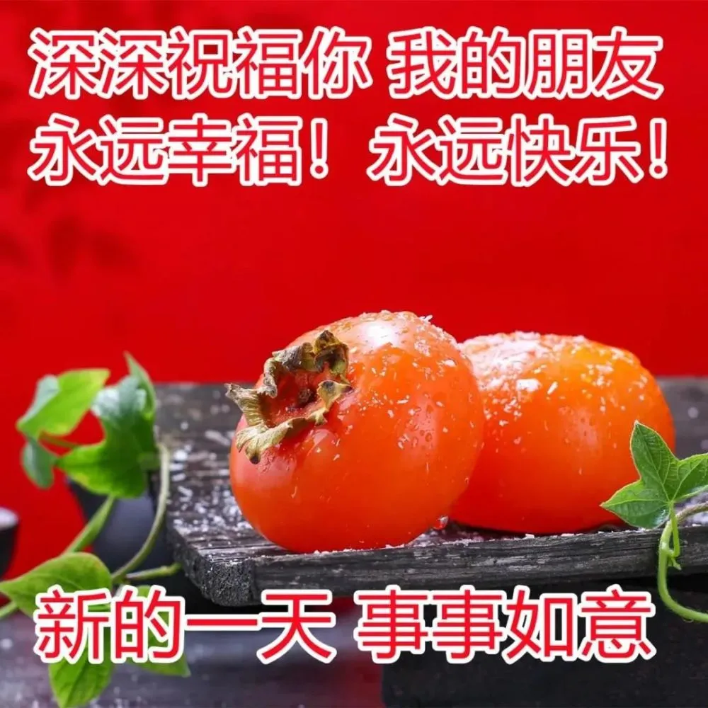 一个官人一个妻_一个官人一个妻_一个官人一个妻