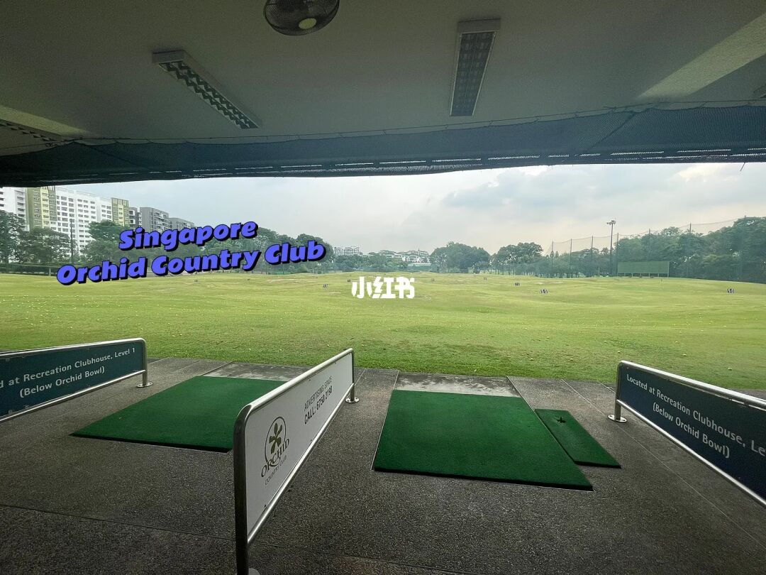 高尔夫改装高尔夫r_高尔夫r400高尔夫gti_高尔夫5