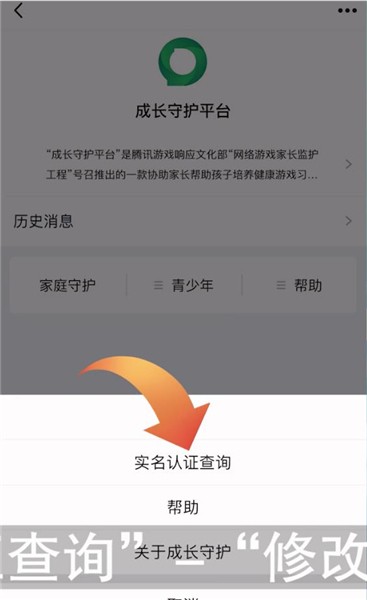 什么游戏不用实名认证_实名认证游戏用的身份证号_实名认证游戏用他人身份证