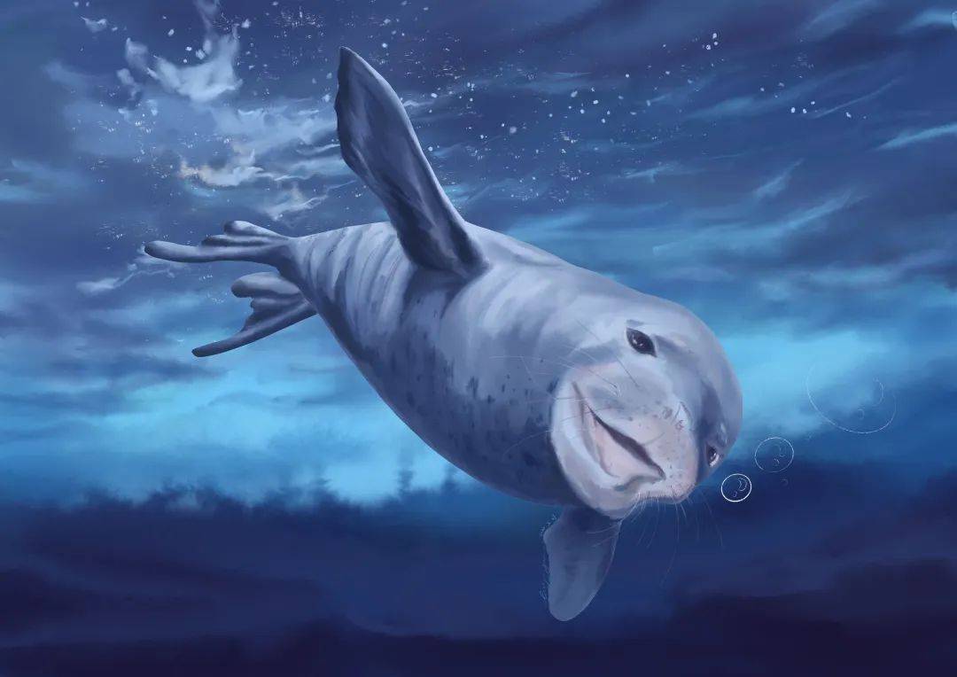 海月怎么了_海月连招_海月适合什么式神