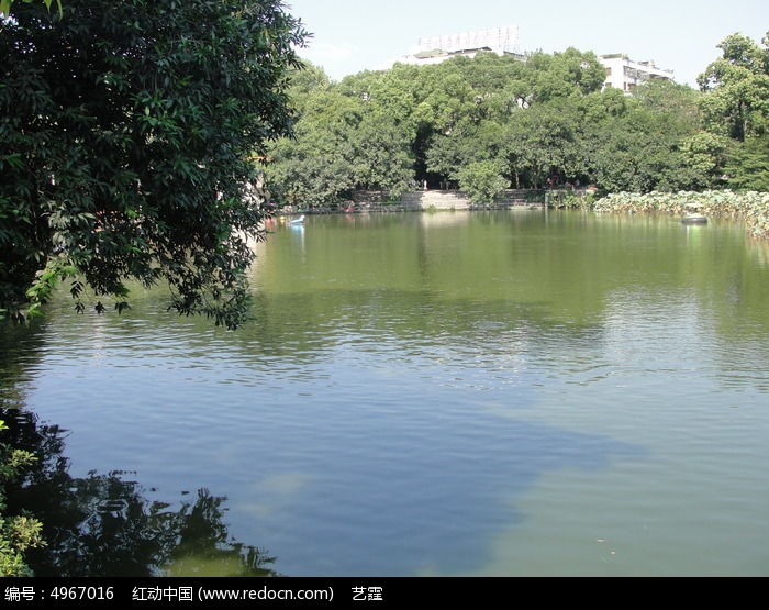 鱼塘图片简笔画_鱼塘图片高清_鱼塘图片