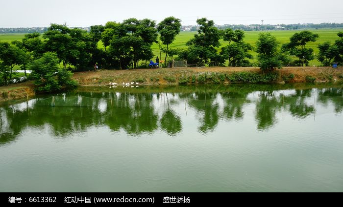 鱼塘图片_鱼塘图片高清_鱼塘图片简笔画