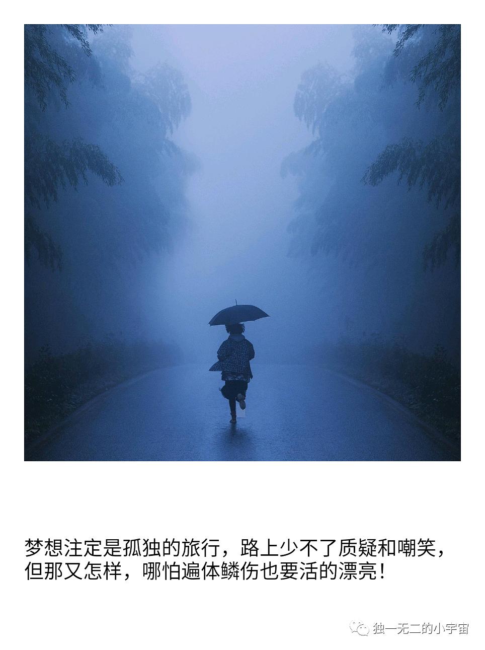 生活的真相：我们的大学下载_生活真相我的大学下载_生活的真相我的大学旧版本