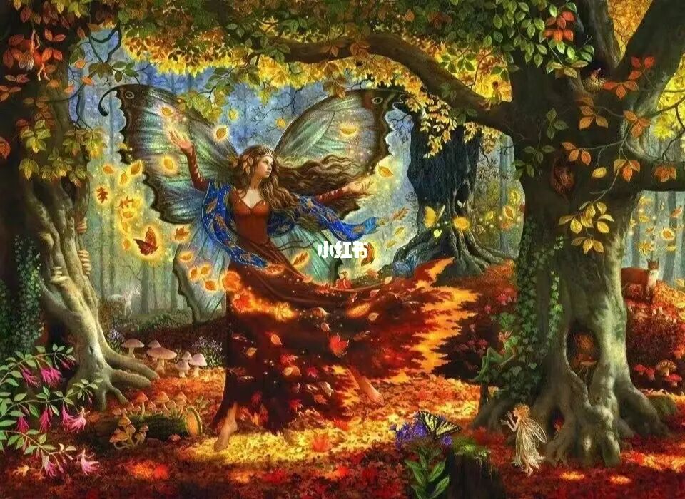 精灵之森_精灵之光_精灵公主
