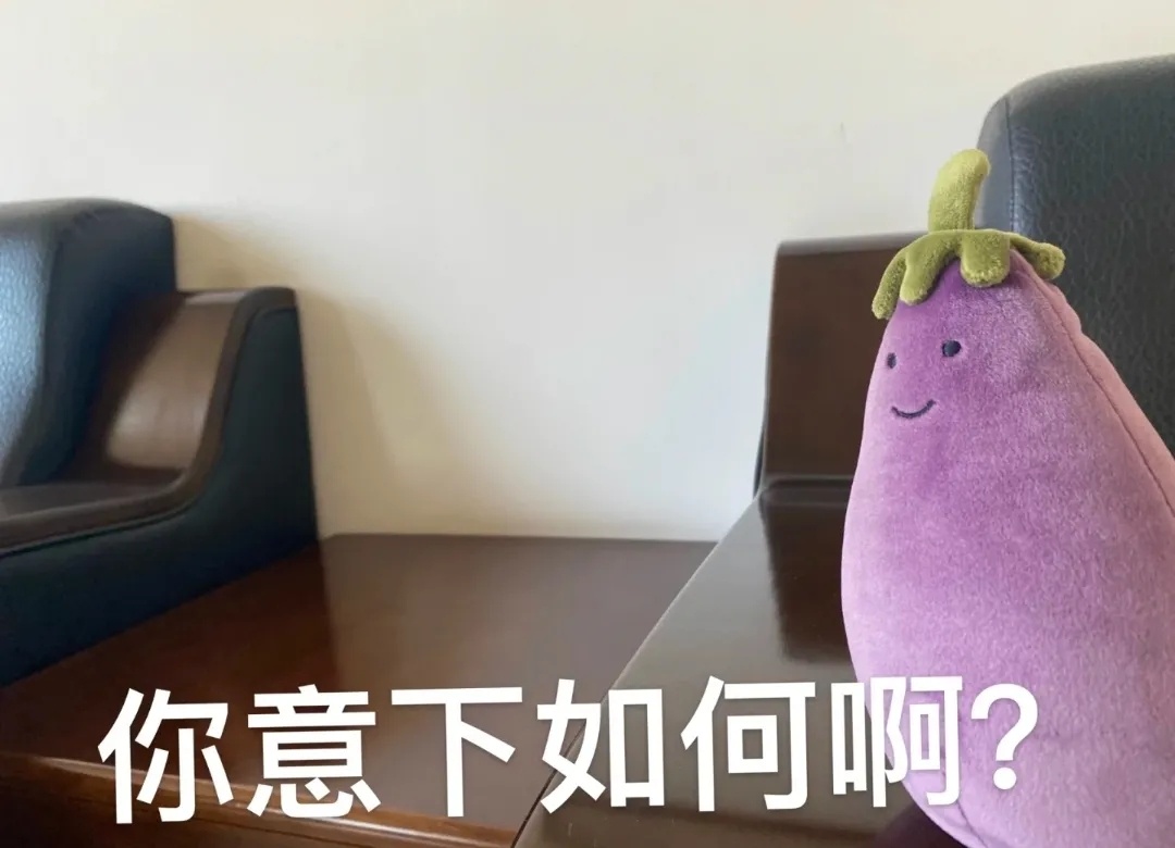 炒茄子的茄子咋切_茄子互传_肉沫茄子的茄子怎么切