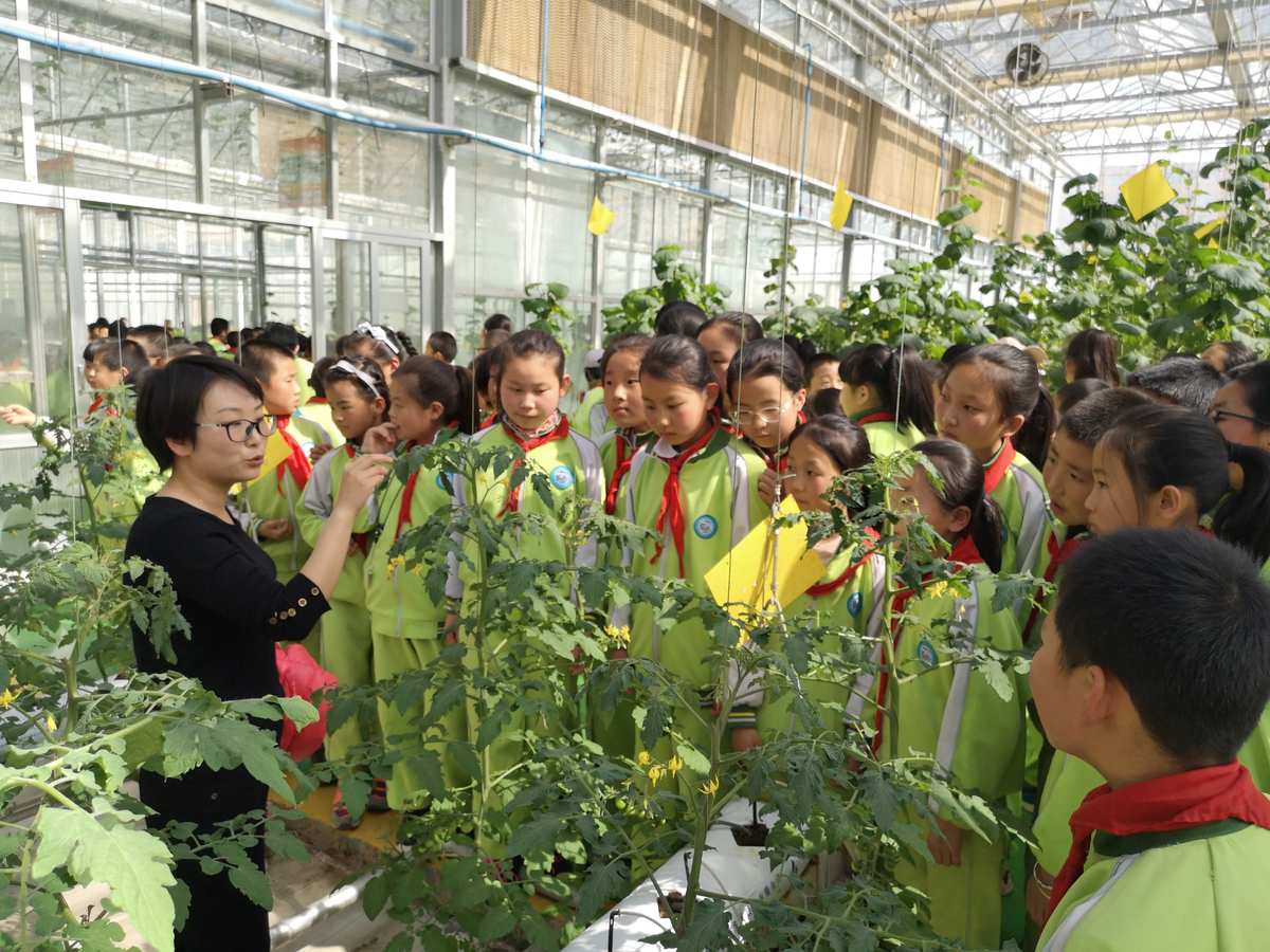 草社区_草馏社区2013_草橊社区2016入口榴社区