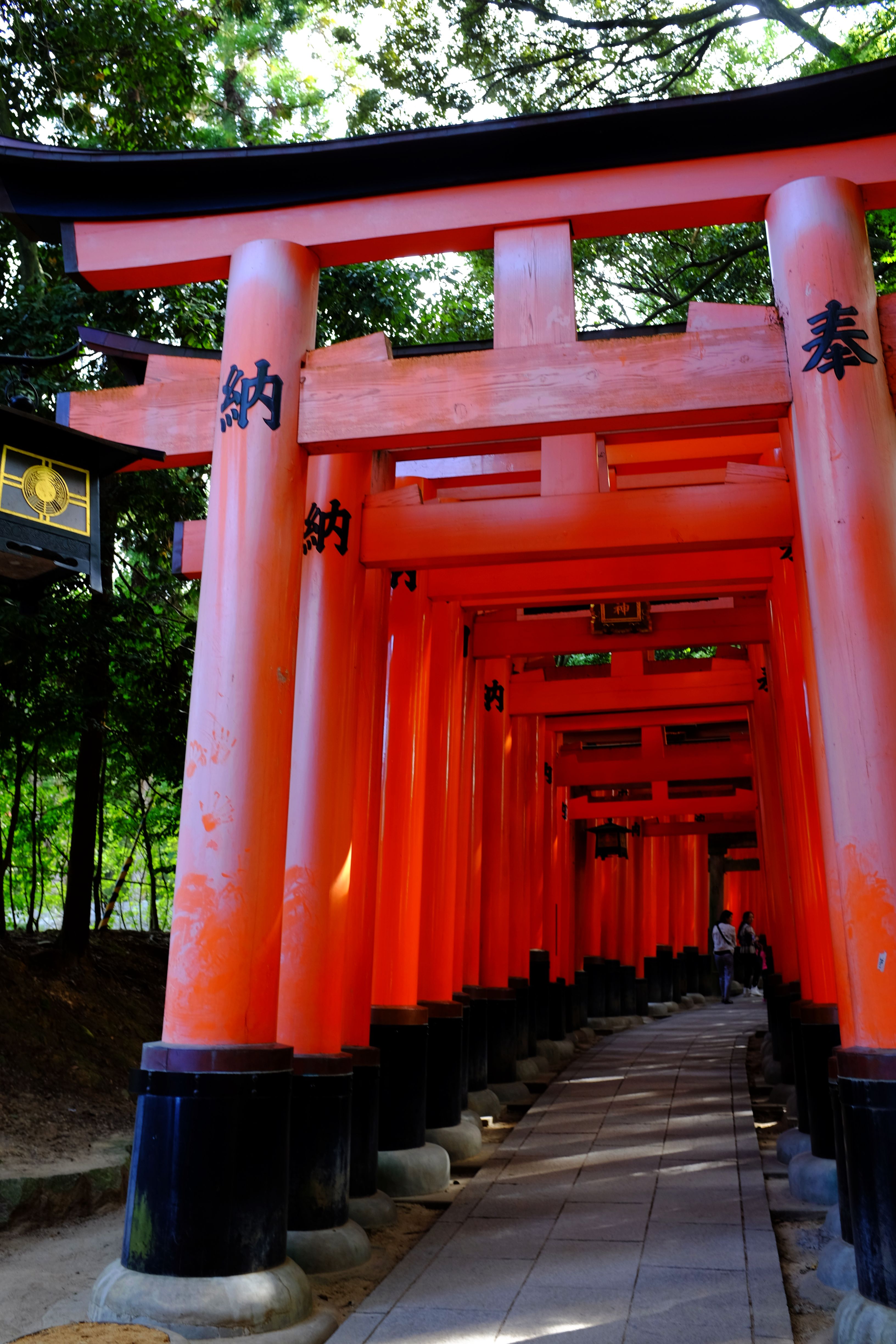 琉璃神社怎么下载资源_琉璃神社怎么下载_琉璃神社app