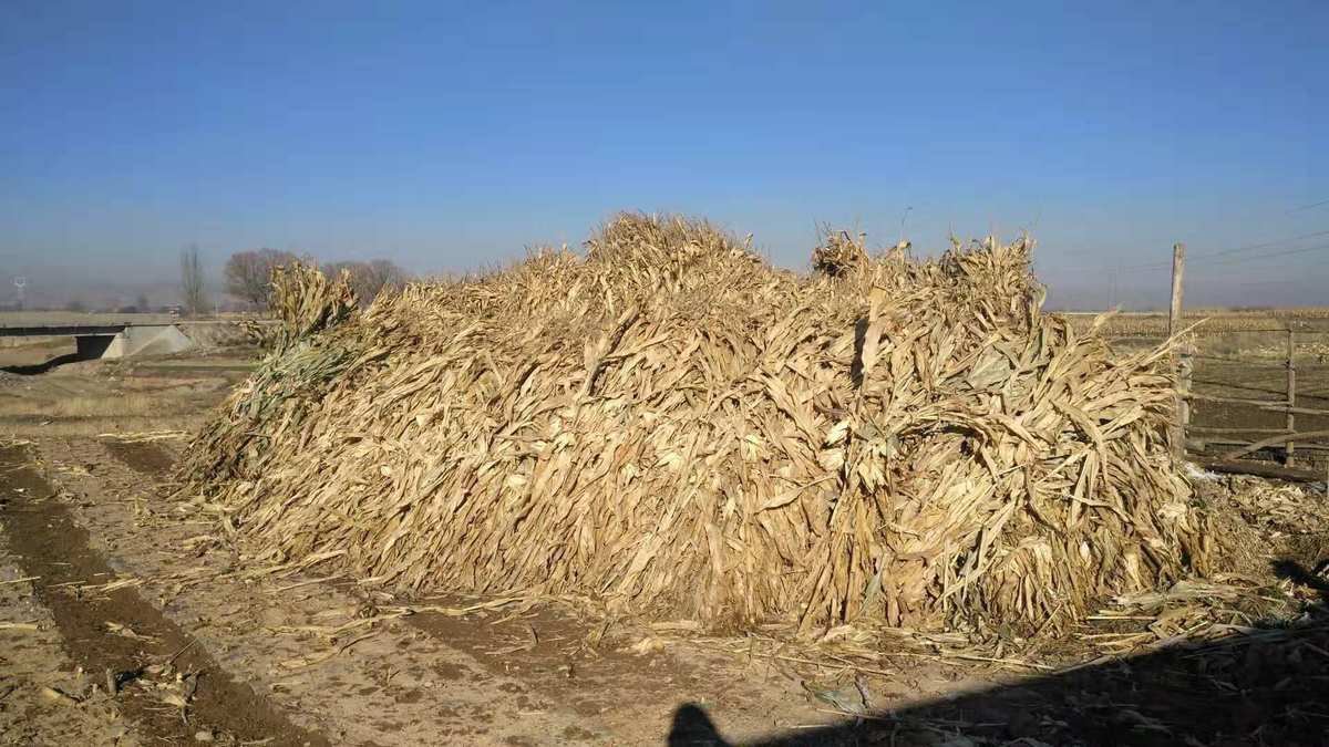 柴堆_柴堆上烈火熊熊_柴堆上燃起熊熊火焰