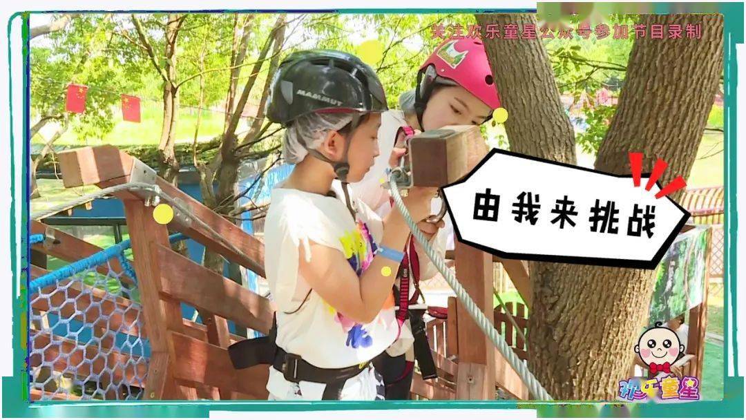 田园收获季_收获日2_收获之夜种子