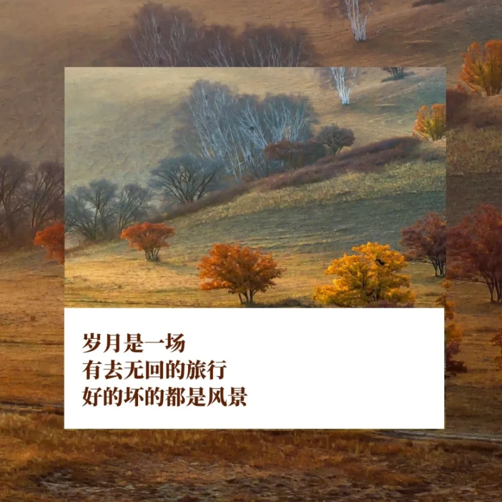 时光旅途_时光回溯之旅_时光回溯怎么读