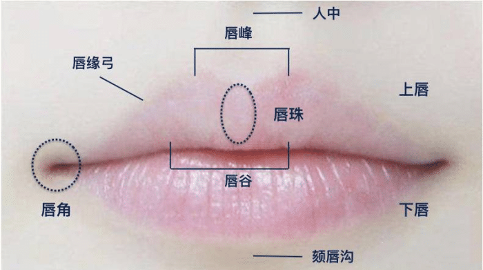 女生吃草莓有什么好处和坏处_吃草莓是指女生什么部位_女生吃草莓啥意思