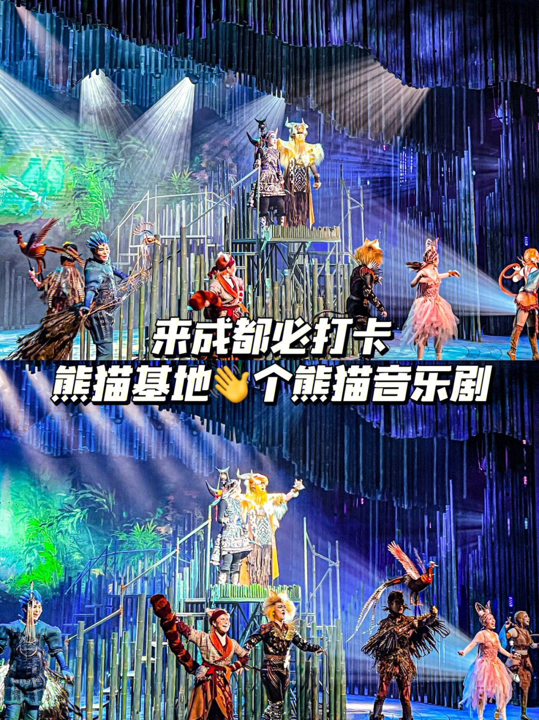 魅力无穷无尽，熊猫音乐带你奇妙旅行