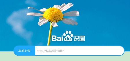 百度识图在线使用网址_百度识图功能怎么在线使用_百度识图网页在线