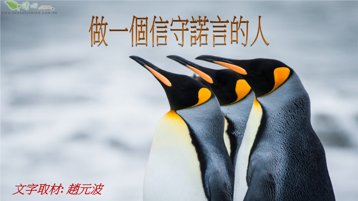 诺言软件是真的吗_诺言软件是干嘛用的_诺言是什么软件