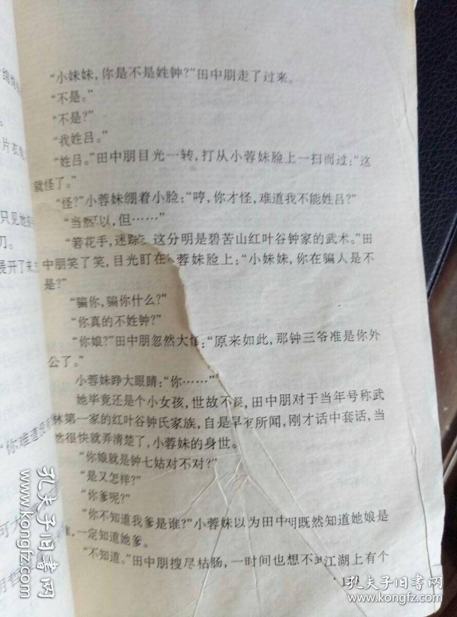 江湖小侠传_江湖小侠传小说_江湖淫侠传