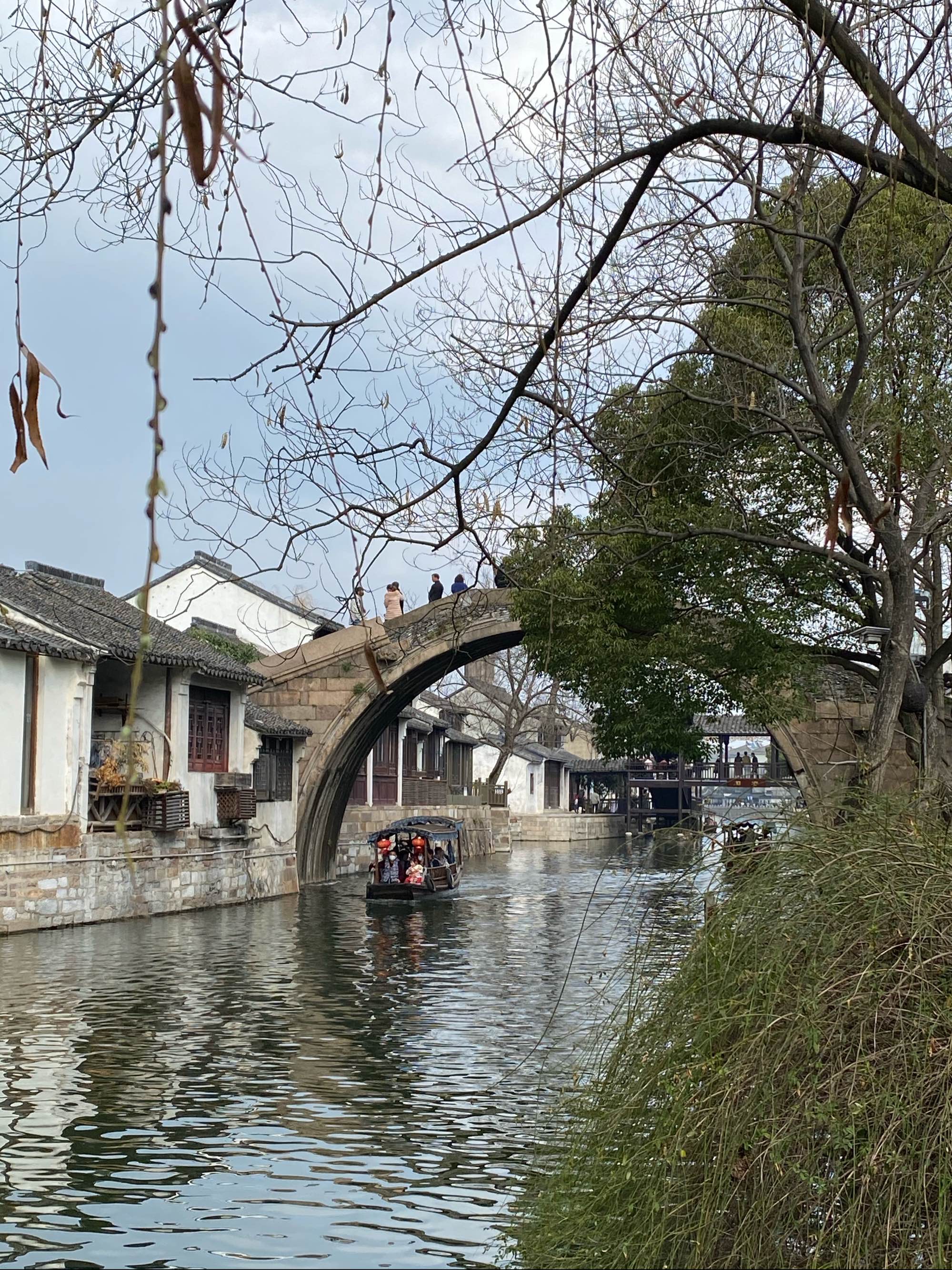 有良田美池桑竹之属的之_桑竹_桑竹的图片
