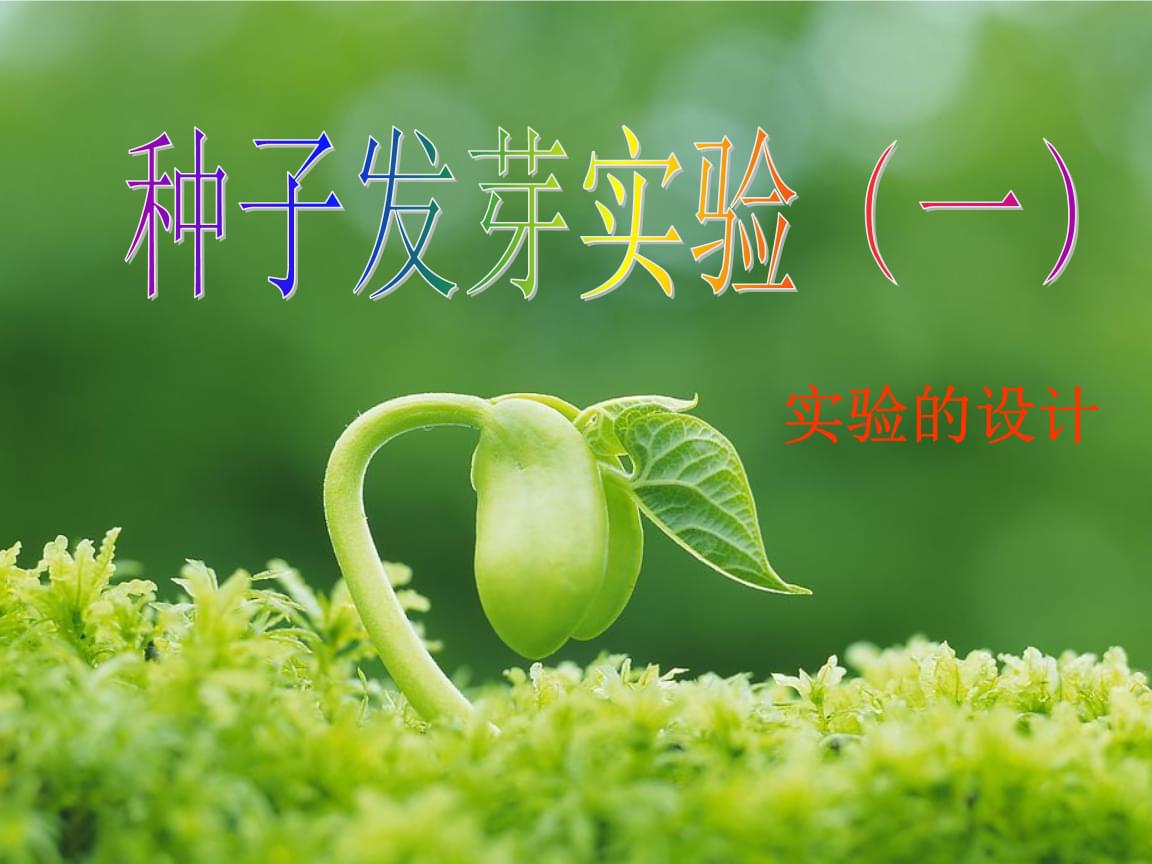 泰拉瑞亚种子terraria_泰拉瑞亚种子大全_1.4.2.3泰拉瑞亚种子