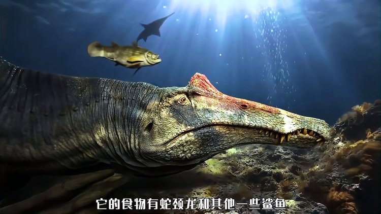 深海蜥蜴_深海龙蜥在哪_深海蜥鱼
