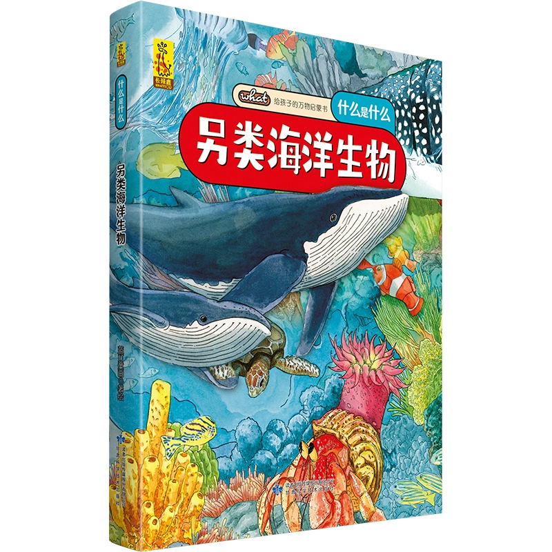 海洋传说mod_海洋传说_海洋传说介绍页