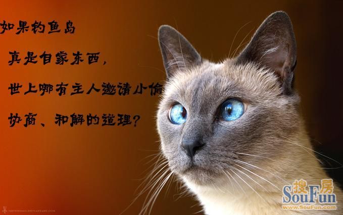 我的世界怎么养动物_动物世界下载_世界动物日是几月几日
