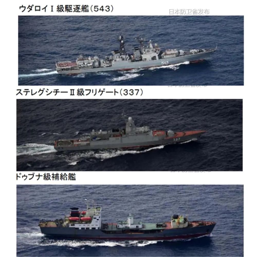 甲斐姬_甲斐姬_甲斐姬