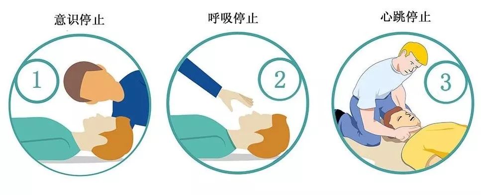 以下哪项不是呼吸心跳停止的表现_心跳呼吸停止指征_心跳呼吸停止的诊断依据
