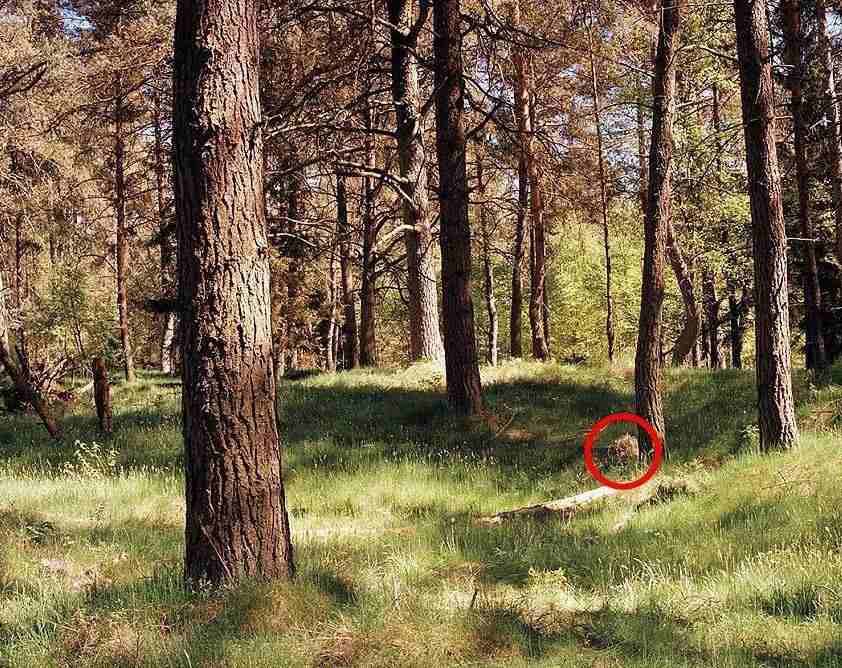 寻雷计划完整版_寻雷看看_迅雷看看电视剧频道