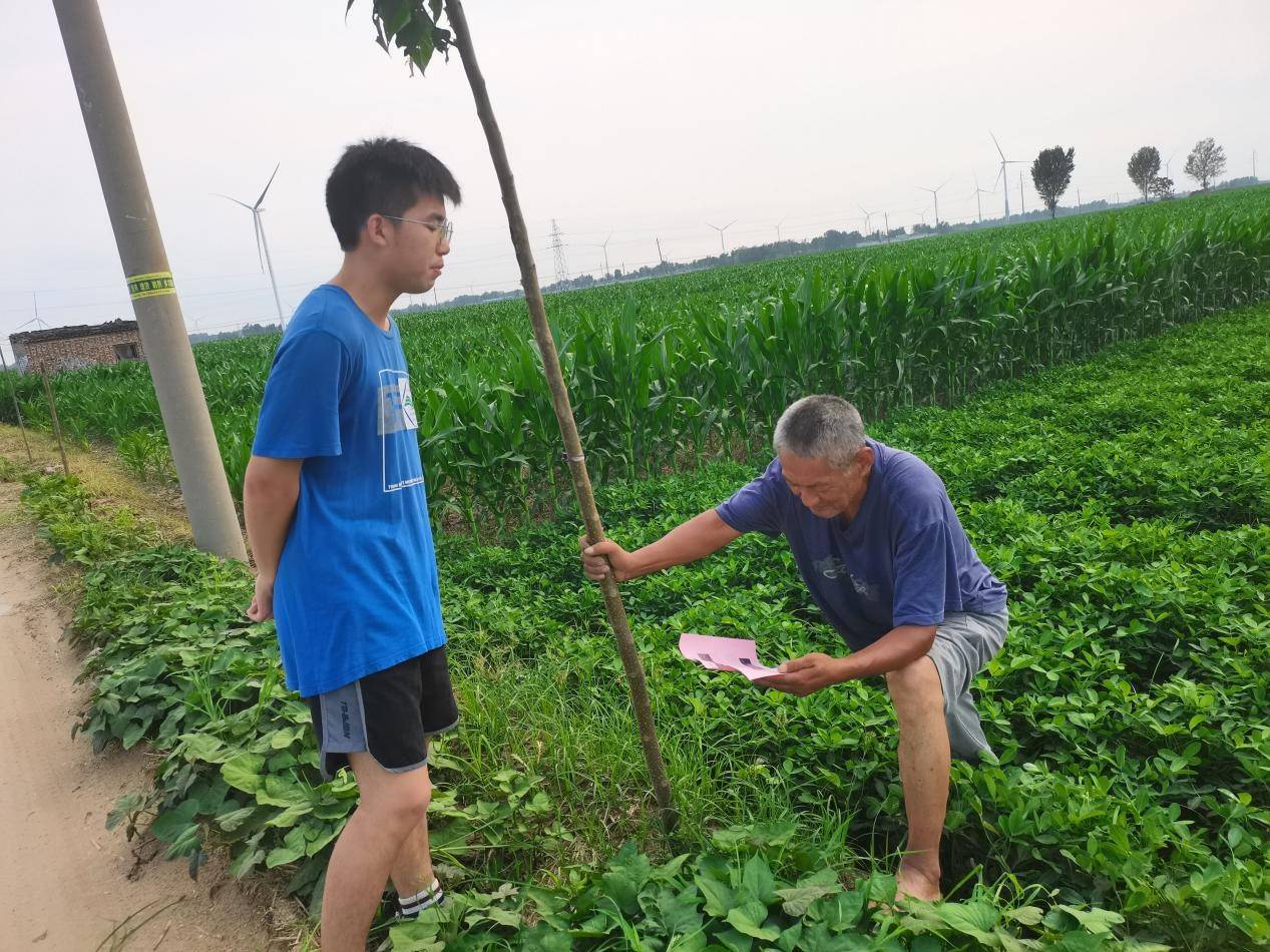 草爹_爹草治肺炎_草爹