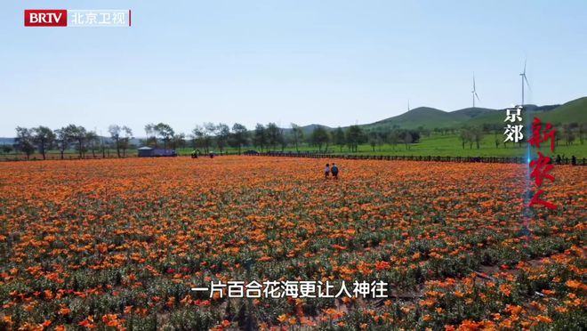 卢因杜拉_杜桑卢维杜尔_杜桑.卢维杜尔
