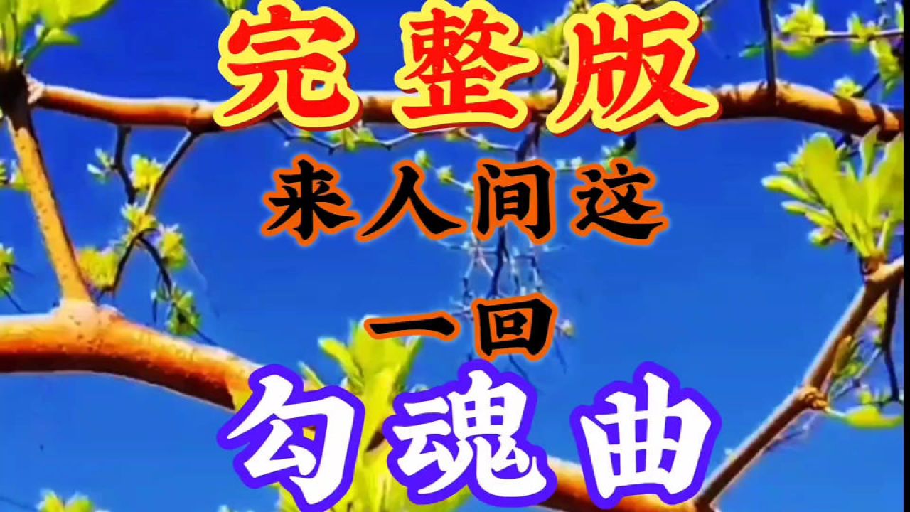 鹅鹅曲项向天歌的作者是谁_鹅鹅鹅曲项向天_鹅鹅鹅曲项向天歌的曲是几声
