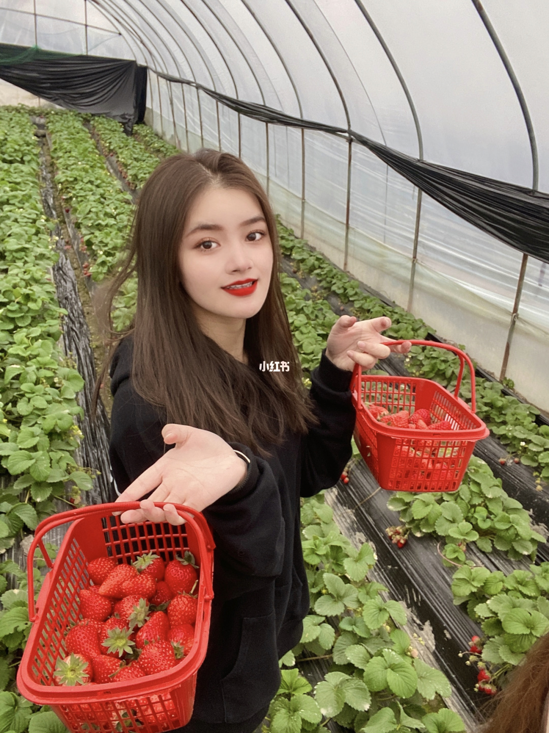 草莓视频app导航_草莓视频app导航_草莓视频app导航