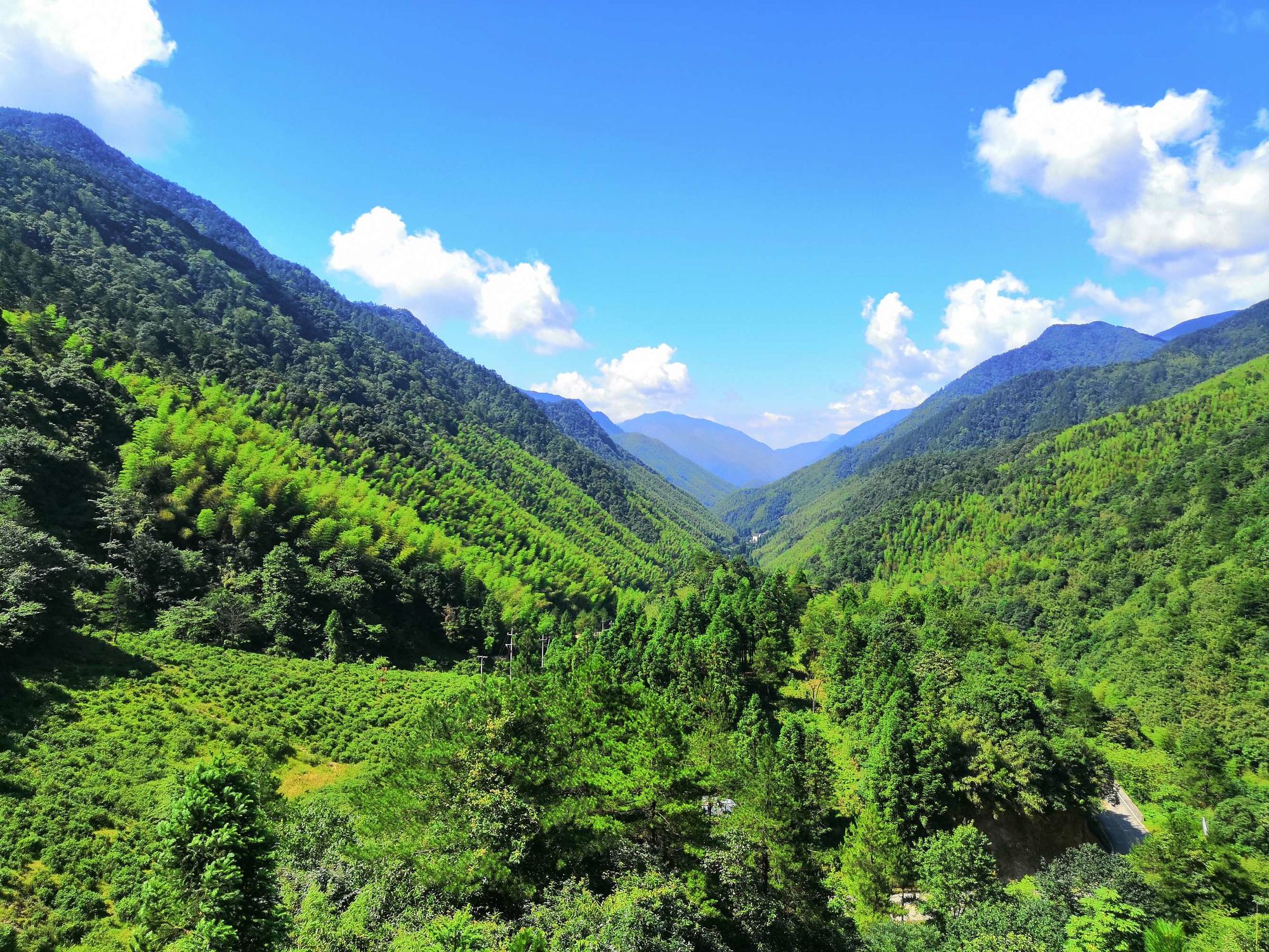 瓦岗山异闻录攻略_异闻录故事_异闻秘录攻略