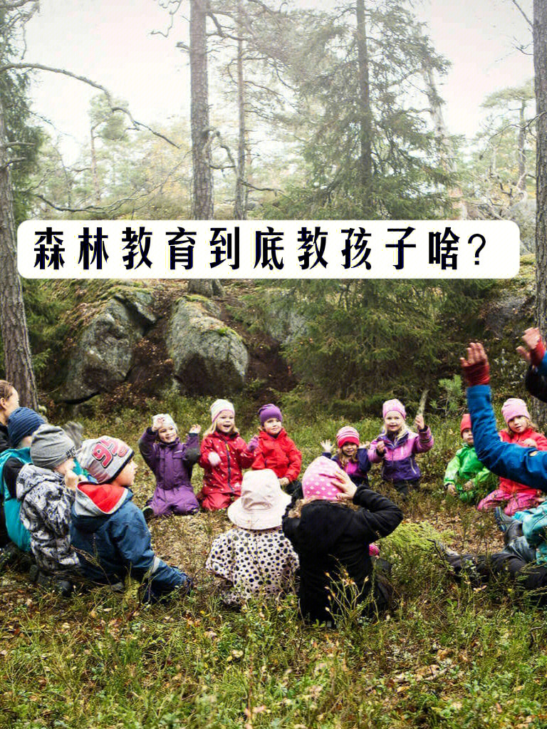 森林的孩子故事_森林孩子工作室_森林的孩子