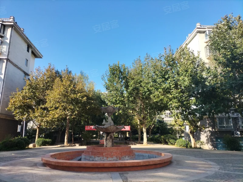 星露谷物语海莉红心事件_星露谷物语海莉红心事件_星露谷物语海莉红心事件