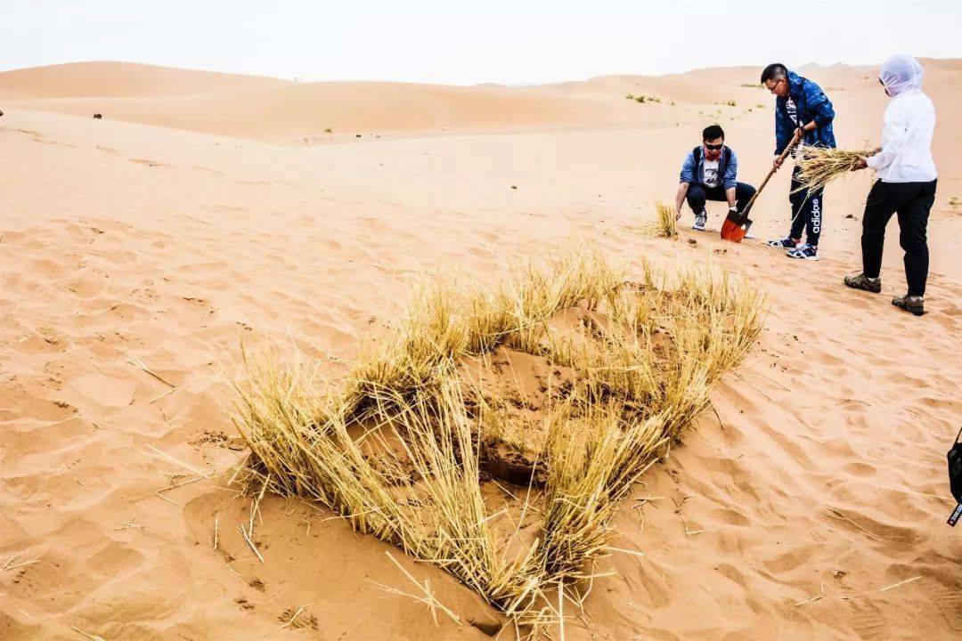 光之旅人_旅人是什么意思_旅人伊斯大陆融合装备怎么选择